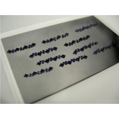 Pärlite kleebis, BNX1 | Nail In