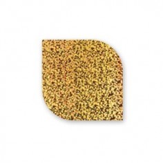 Nail Transfer Foil, FT9, 10pcs