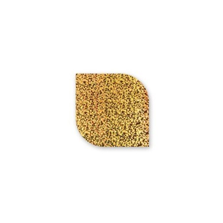 Foolium transfer, FT9, 10tk Foolium transfer, FT9, 10tk