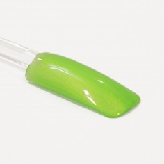 Color Gel, Metallic Golden Green, 5g 2
