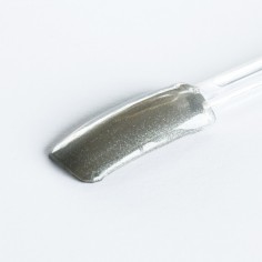 Цветной гель, Silver Shine, 5g 2