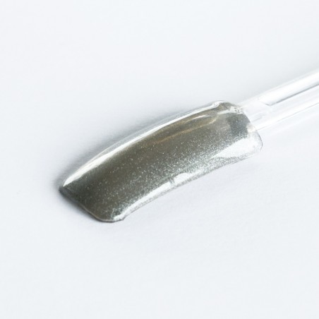 Цветной гель, Silver Shine, 5g