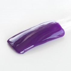 Color Gel, Purple Plum, 5g 2
