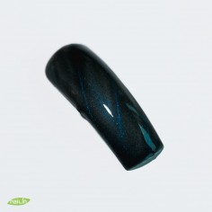 Цветной гель, Cat Eye Kaisa 2